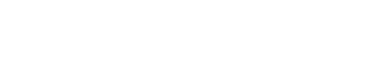 multiservis logo